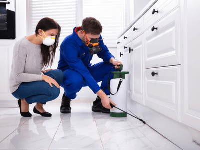 About Williamston Mosquito Fogging - mosquito fogging experts in Williamston
